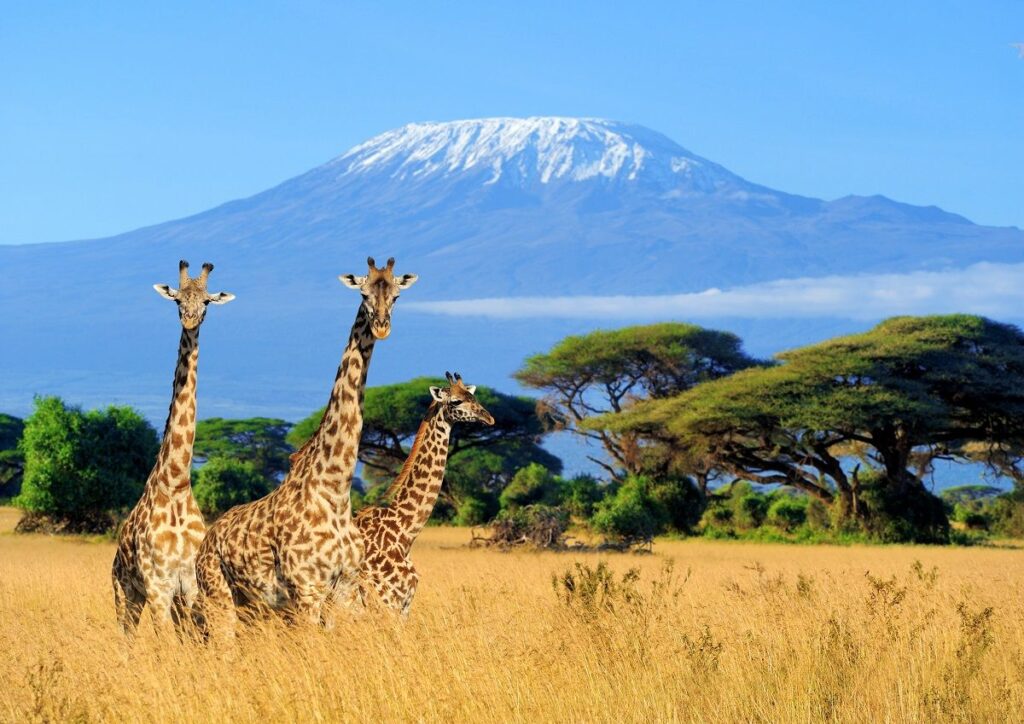 Serengeti, Tanzania