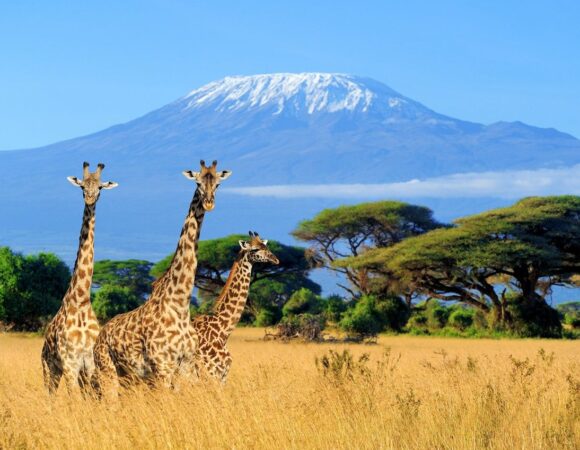 Serengeti, Tanzania